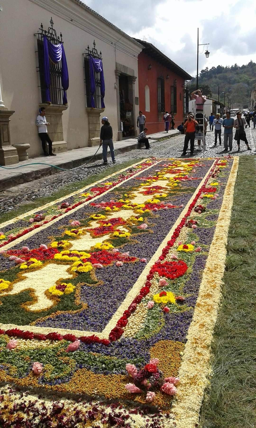 Colorful flower carpet alfombra for Semana Santa in Antigua, Guatemala